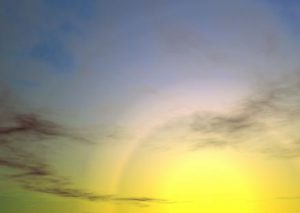 Studer / van den Berg: Findings